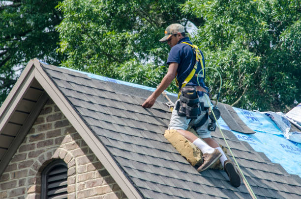 Best Shingle Roofing Installation  in Upper Pohatcong, NJ